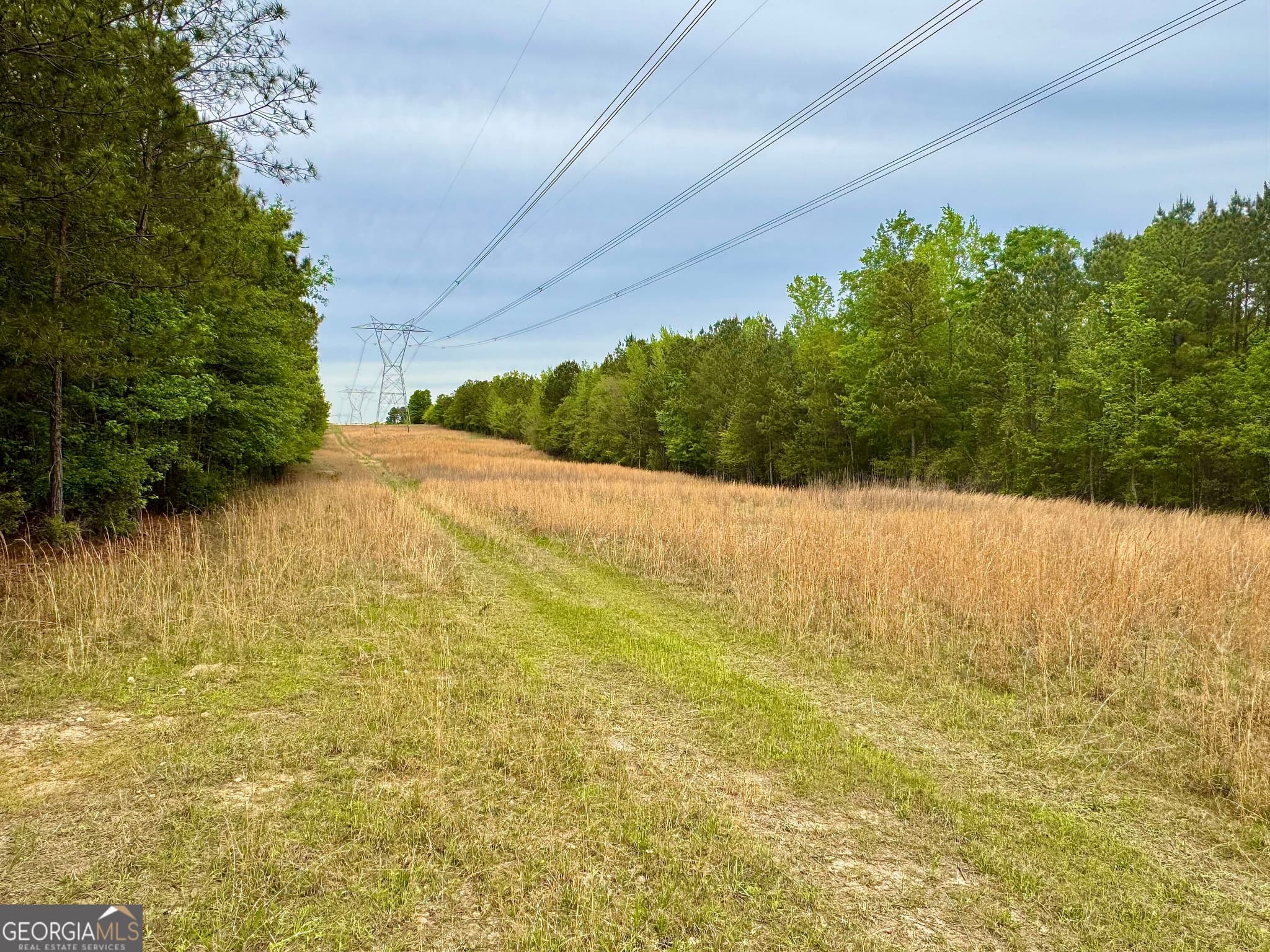 agriculture for sale at 1 Frazier Road, Sparta, GA 31087 — photo 4
