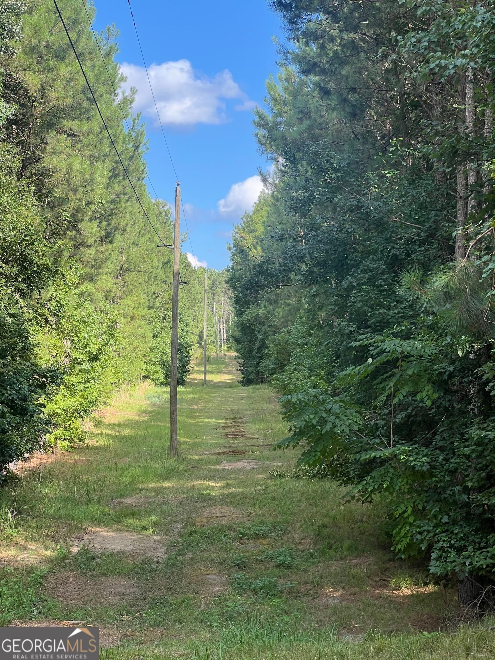 agriculture for sale at 1 Frazier Road, Sparta, GA 31087 — photo 8