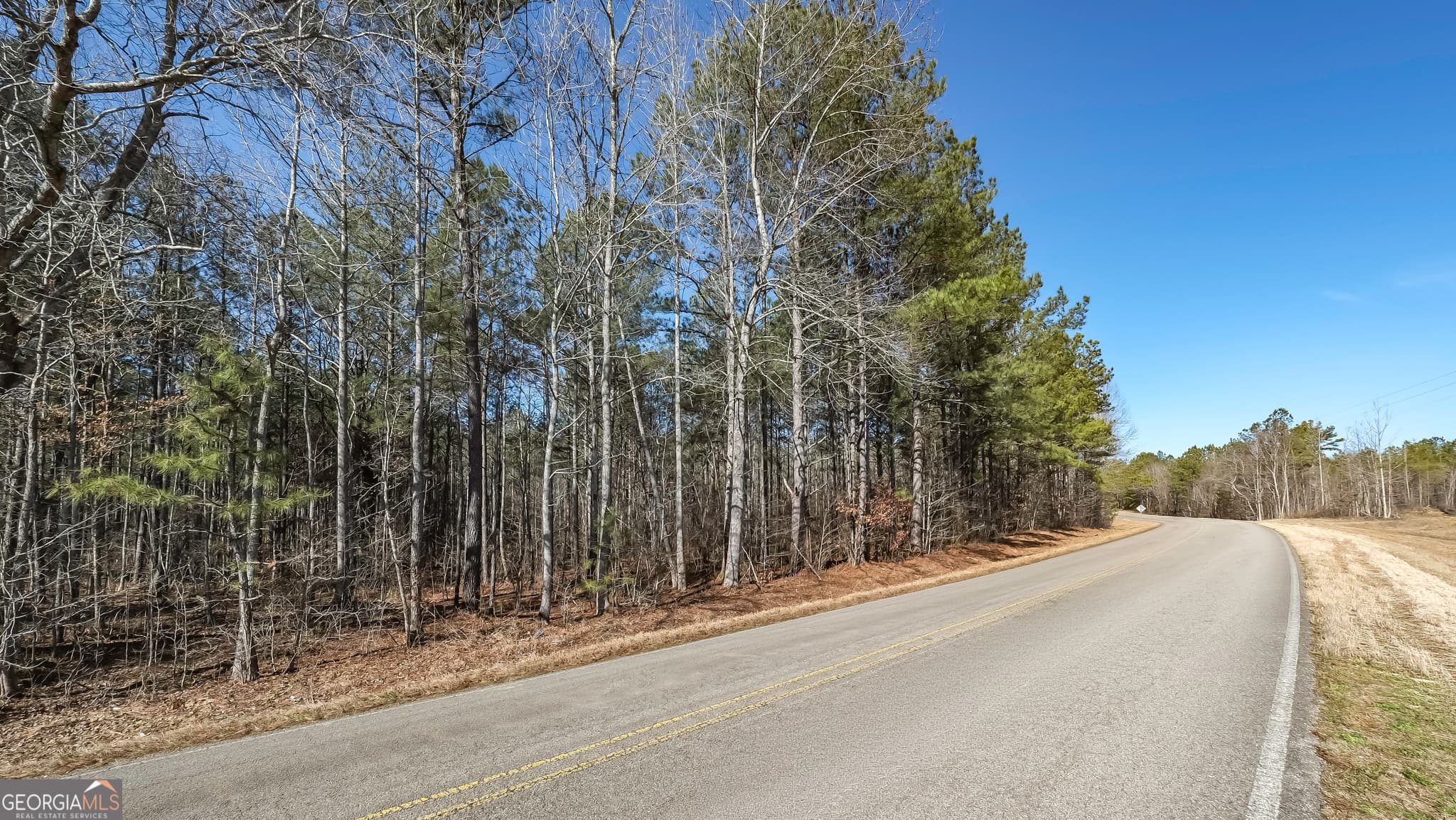 unimproved land for sale at 0 County Road 49, Fruithurst, AL 36262 — photo 2