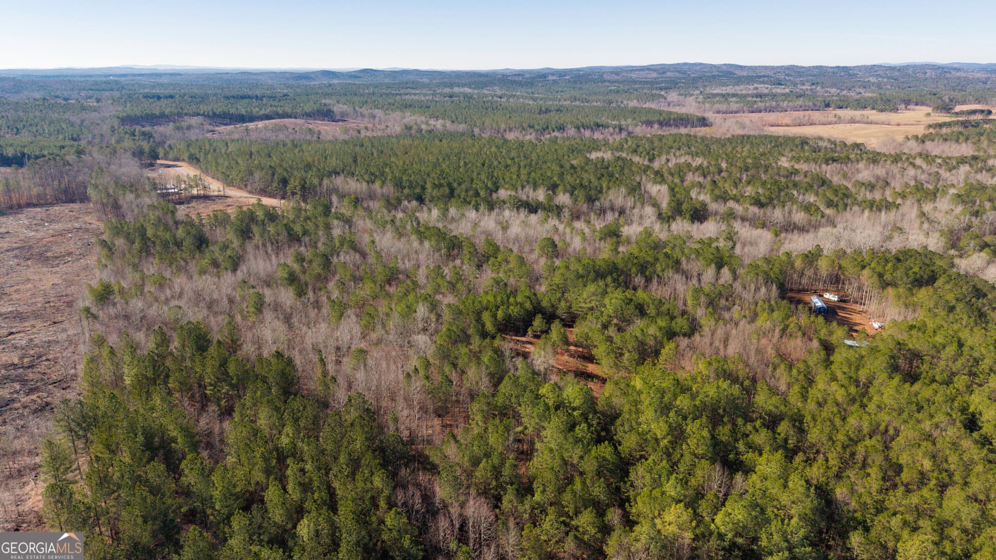 unimproved land for sale at 0 County Road 49, Fruithurst, AL 36262 — photo 7