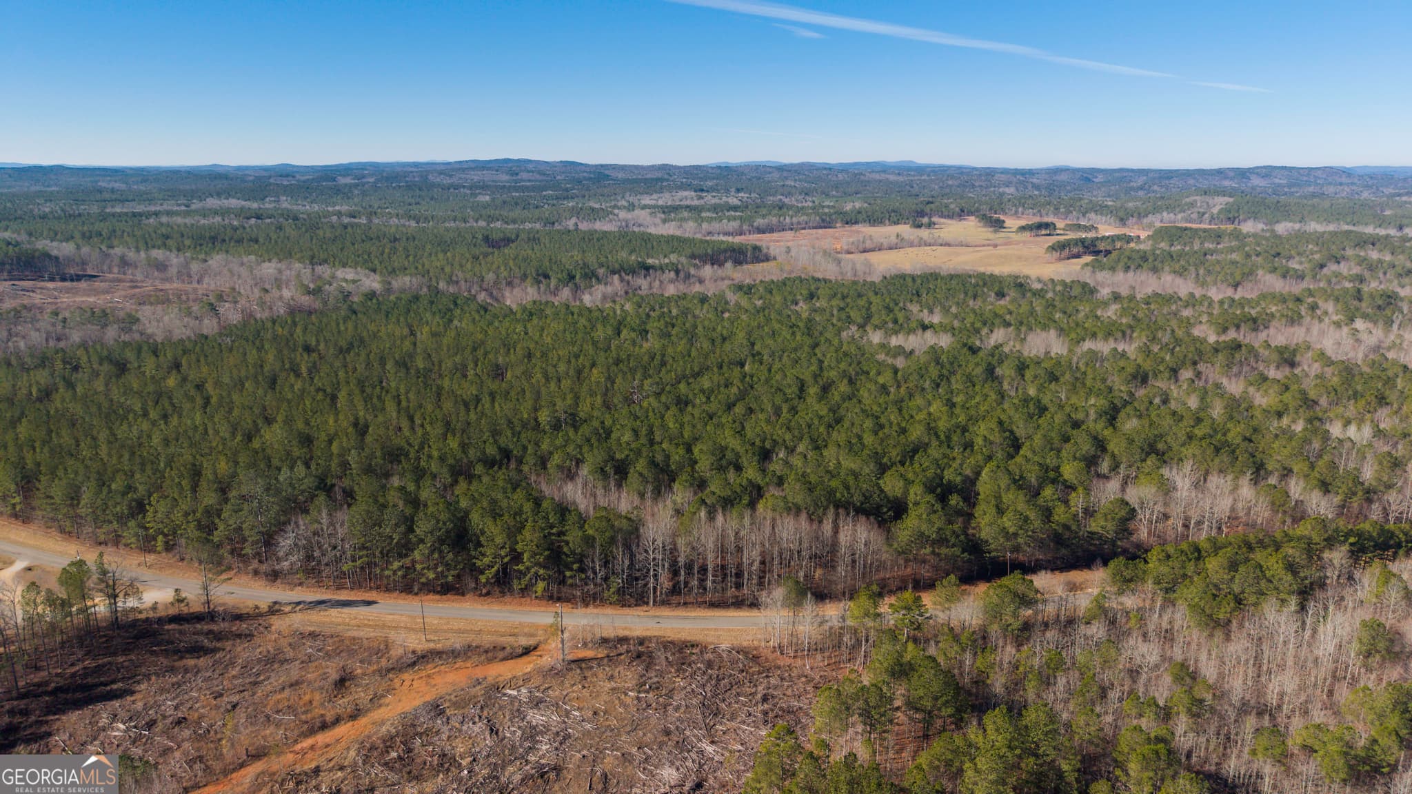 unimproved land for sale at 0 County Road 49, Fruithurst, AL 36262 — photo 5