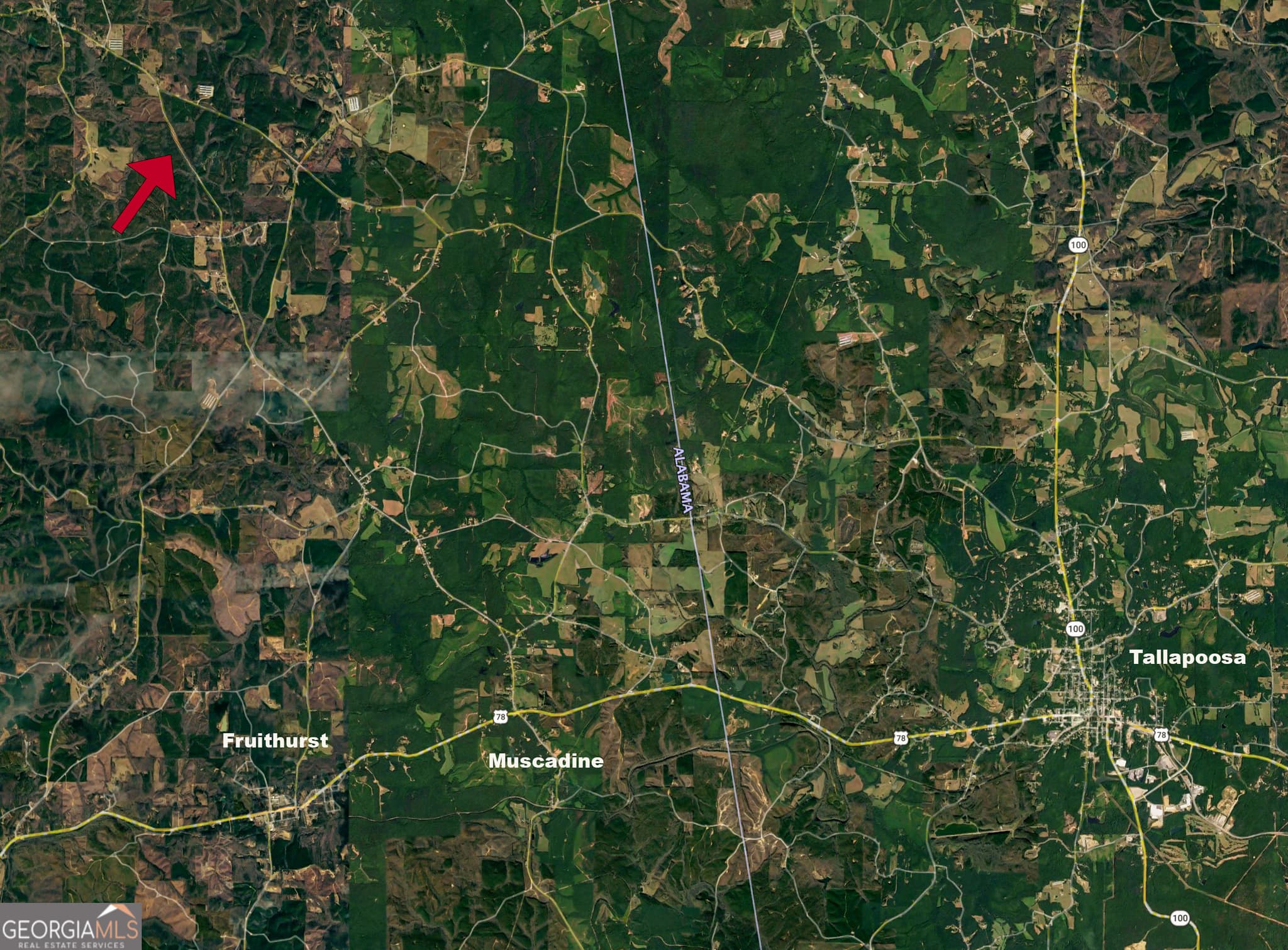 unimproved land for sale at 0 County Road 49, Fruithurst, AL 36262 — photo 9