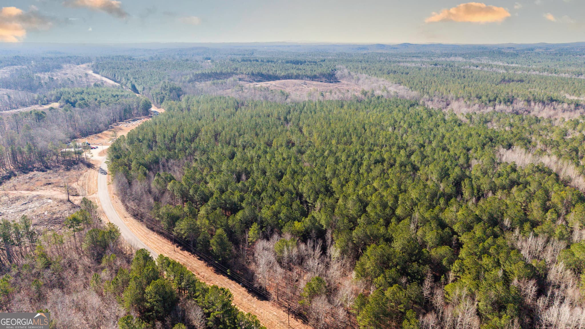 unimproved land for sale at 0 County Road 49, Fruithurst, AL 36262 — photo 4