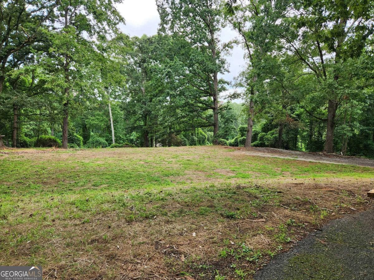 residential lot for sale at 1397 McPherson Church Road, Dallas, GA 30132 — photo 2