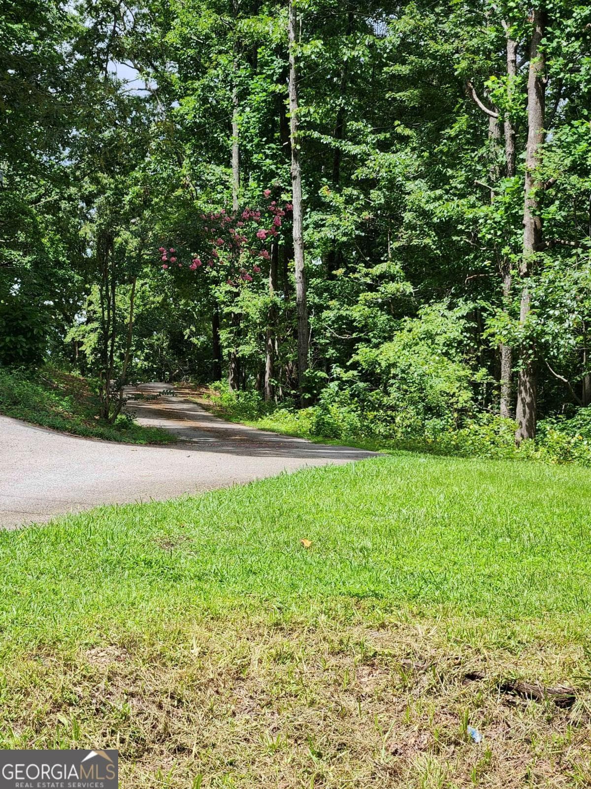 residential lot for sale at 1397 McPherson Church Road, Dallas, GA 30132 — photo 6