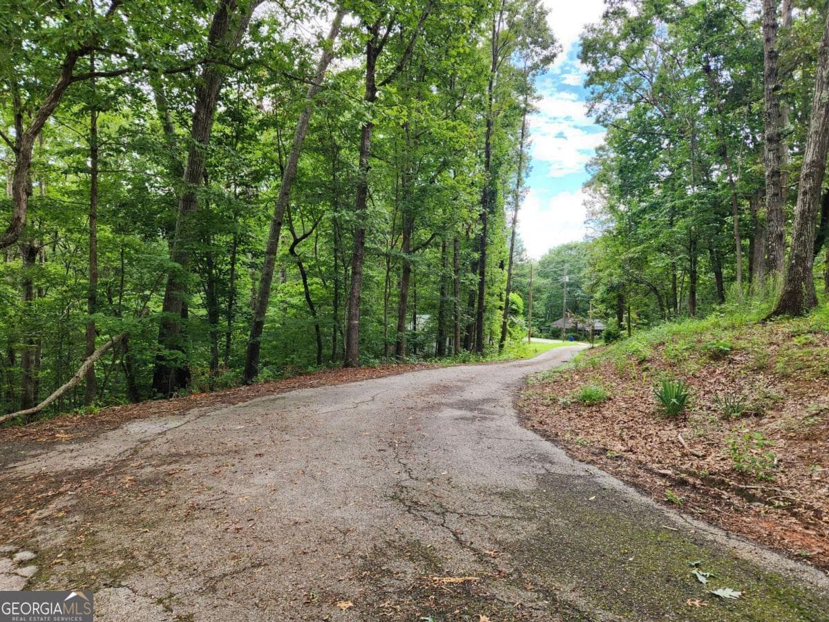 residential lot for sale at 1397 McPherson Church Road, Dallas, GA 30132 — photo 5