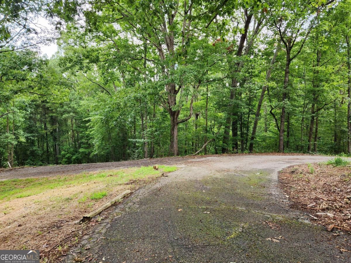 residential lot for sale at 1397 McPherson Church Road, Dallas, GA 30132 — photo 4