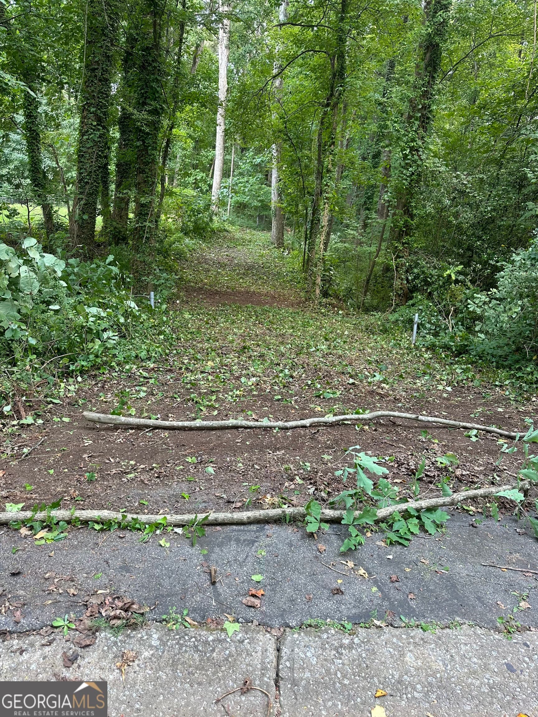 residential lot for sale at 2790 Deerfield Drive, Lithia Springs, GA 30122 — photo 4