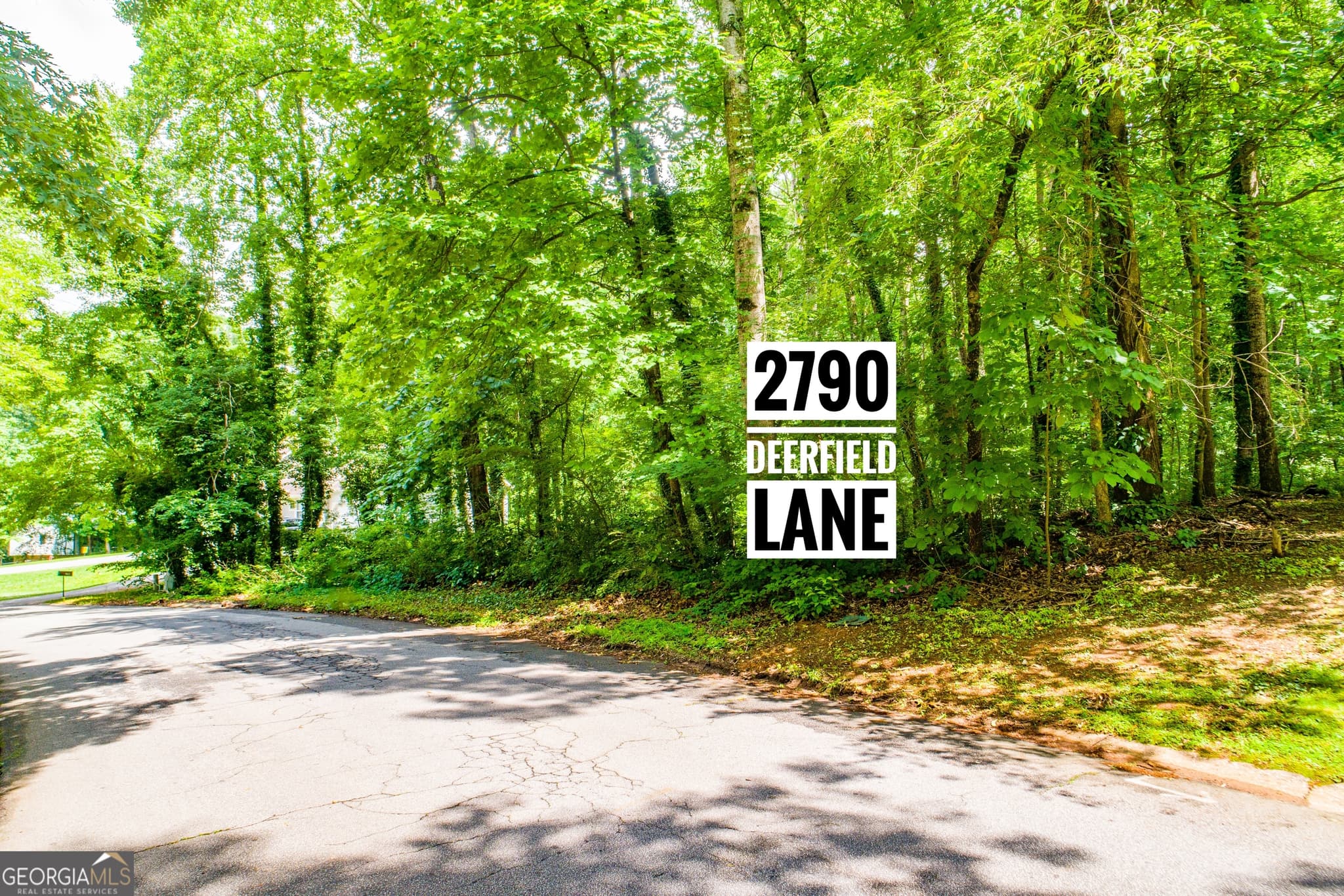 residential lot for sale at 2790 Deerfield Drive, Lithia Springs, GA 30122 — photo 8