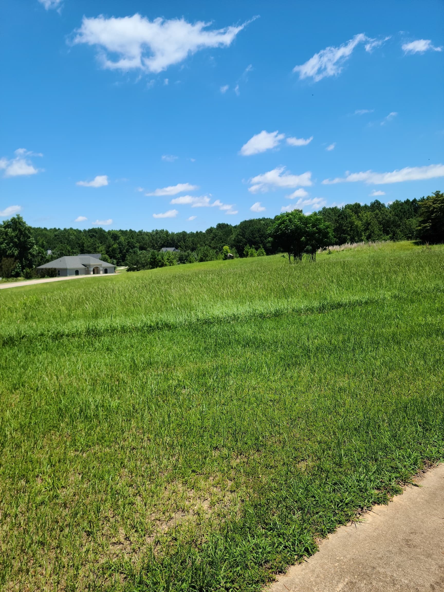 0 CLEARWATER Drive, White Plains, GA 30678 — most recent listing photo
