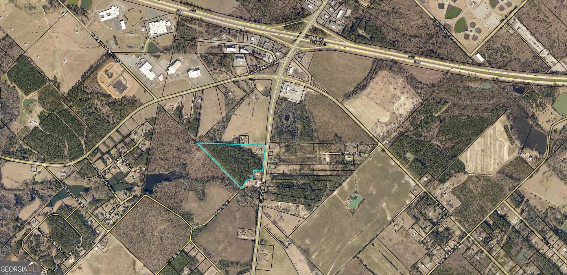 unimproved land for sale at 2311 S Highway 441, Dublin, GA 31021 — photo 2