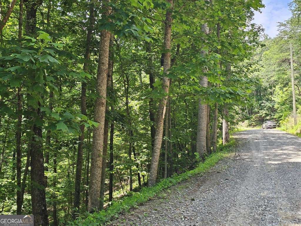 residential lot for sale at 549 NE Myriad Way 549, Ranger, GA 30734 — photo 2