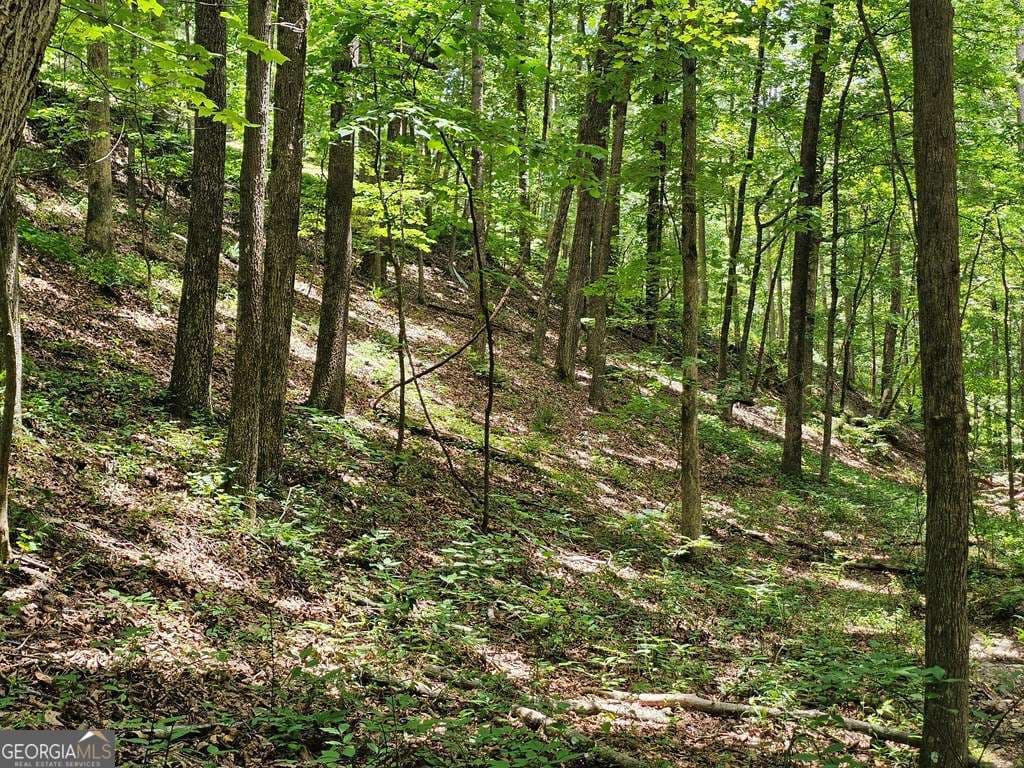 residential lot for sale at 549 NE Myriad Way 549, Ranger, GA 30734 — photo 6