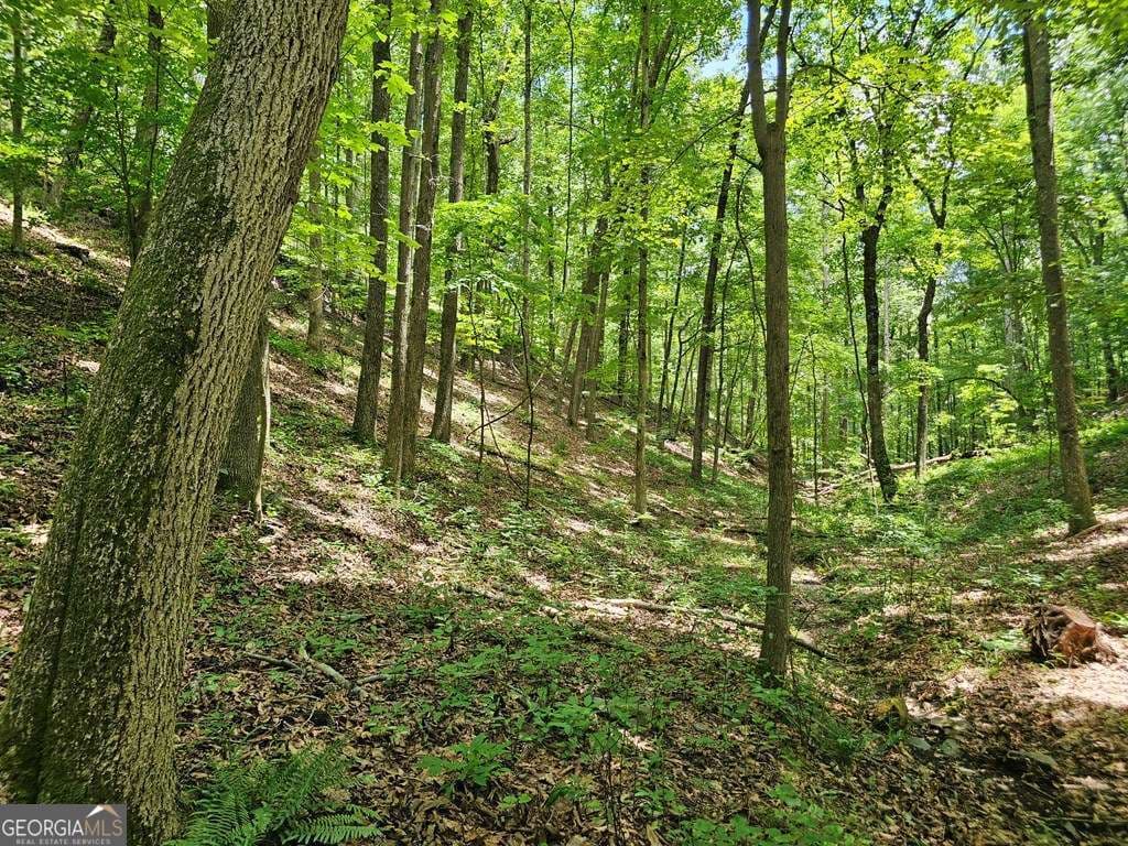 residential lot for sale at 549 NE Myriad Way 549, Ranger, GA 30734 — photo 7
