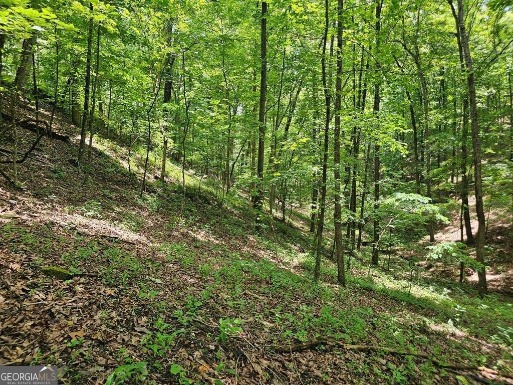 residential lot for sale at 549 NE Myriad Way 549, Ranger, GA 30734 — photo 3