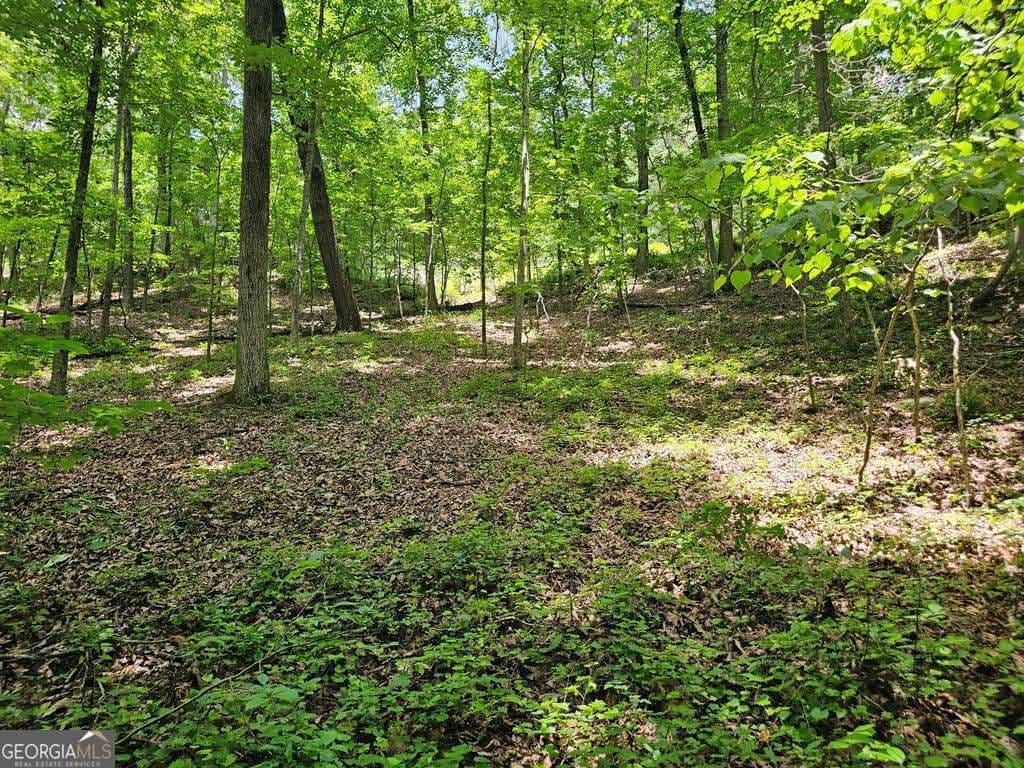 residential lot for sale at 549 NE Myriad Way 549, Ranger, GA 30734 — photo 1 of 23