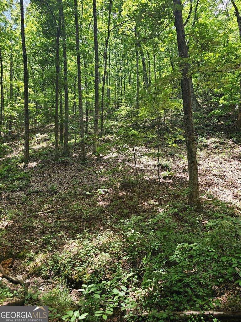 residential lot for sale at 549 NE Myriad Way 549, Ranger, GA 30734 — photo 5
