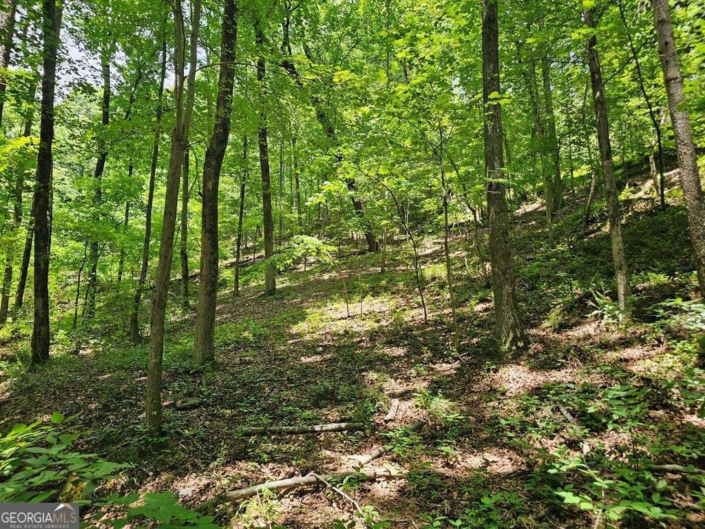 residential lot for sale at 549 NE Myriad Way 549, Ranger, GA 30734 — photo 9