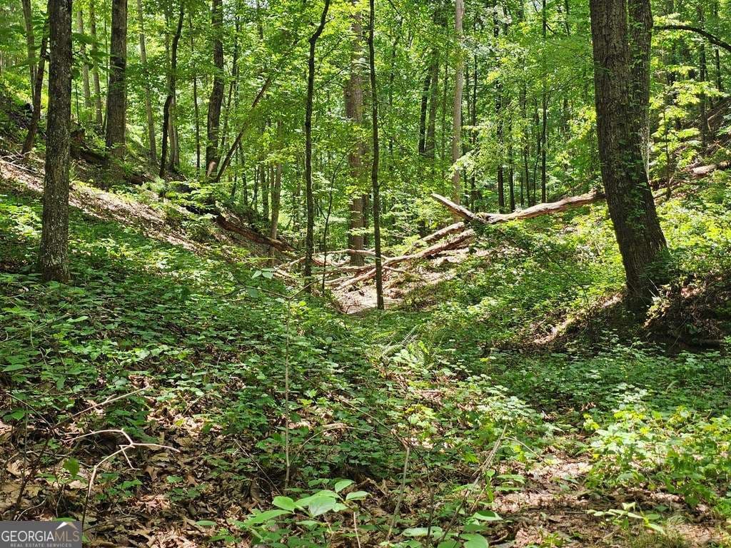 residential lot for sale at 549 NE Myriad Way 549, Ranger, GA 30734 — photo 10