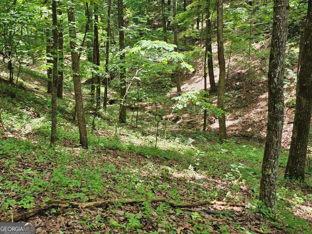 residential lot for sale at 549 NE Myriad Way 549, Ranger, GA 30734 — photo 4