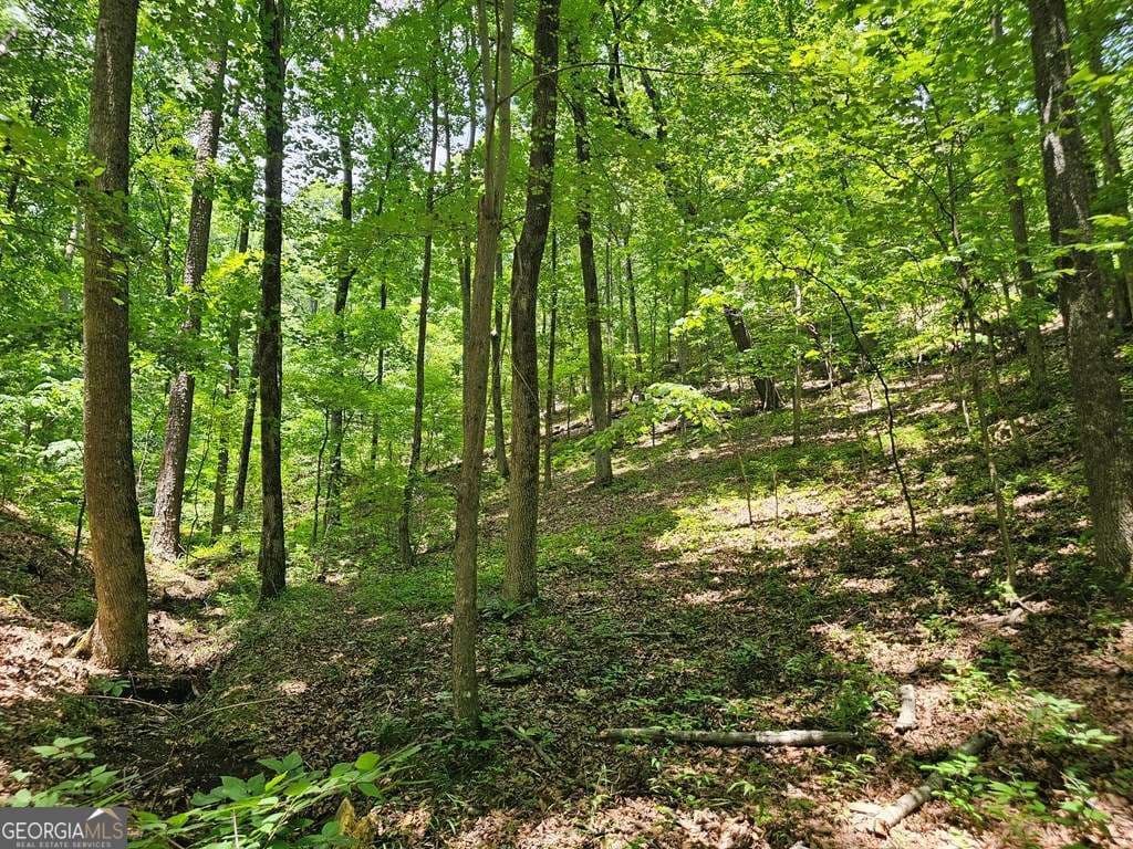 residential lot for sale at 549 NE Myriad Way 549, Ranger, GA 30734 — photo 8
