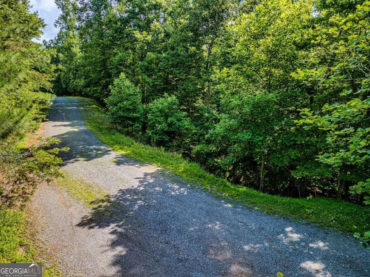unimproved land for sale at LOT 26 Toccoa Preserve, Blue Ridge, GA 30513 — photo 9
