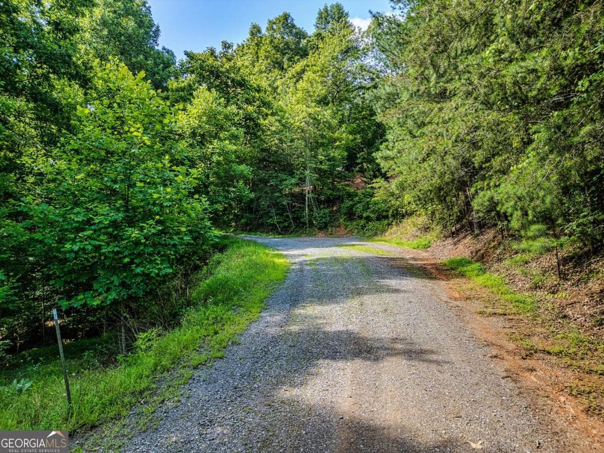 unimproved land for sale at LOT 26 Toccoa Preserve, Blue Ridge, GA 30513 — photo 10