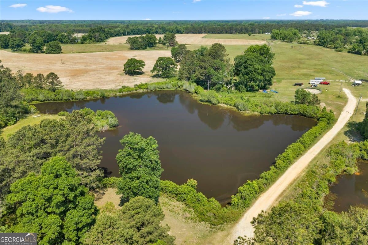 agriculture for sale at 0 Highway 80, Danville, GA 31017 — photo 2