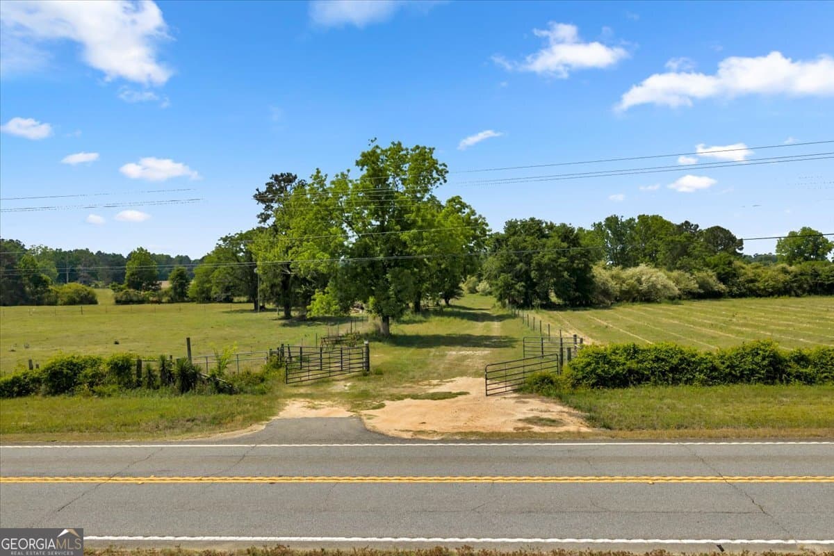 agriculture for sale at 0 Highway 80, Danville, GA 31017 — photo 6