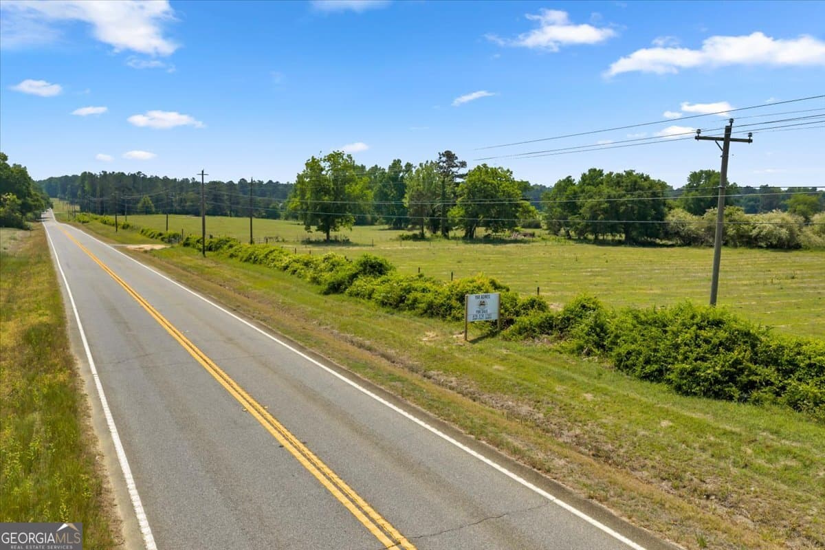 agriculture for sale at 0 Highway 80, Danville, GA 31017 — photo 7