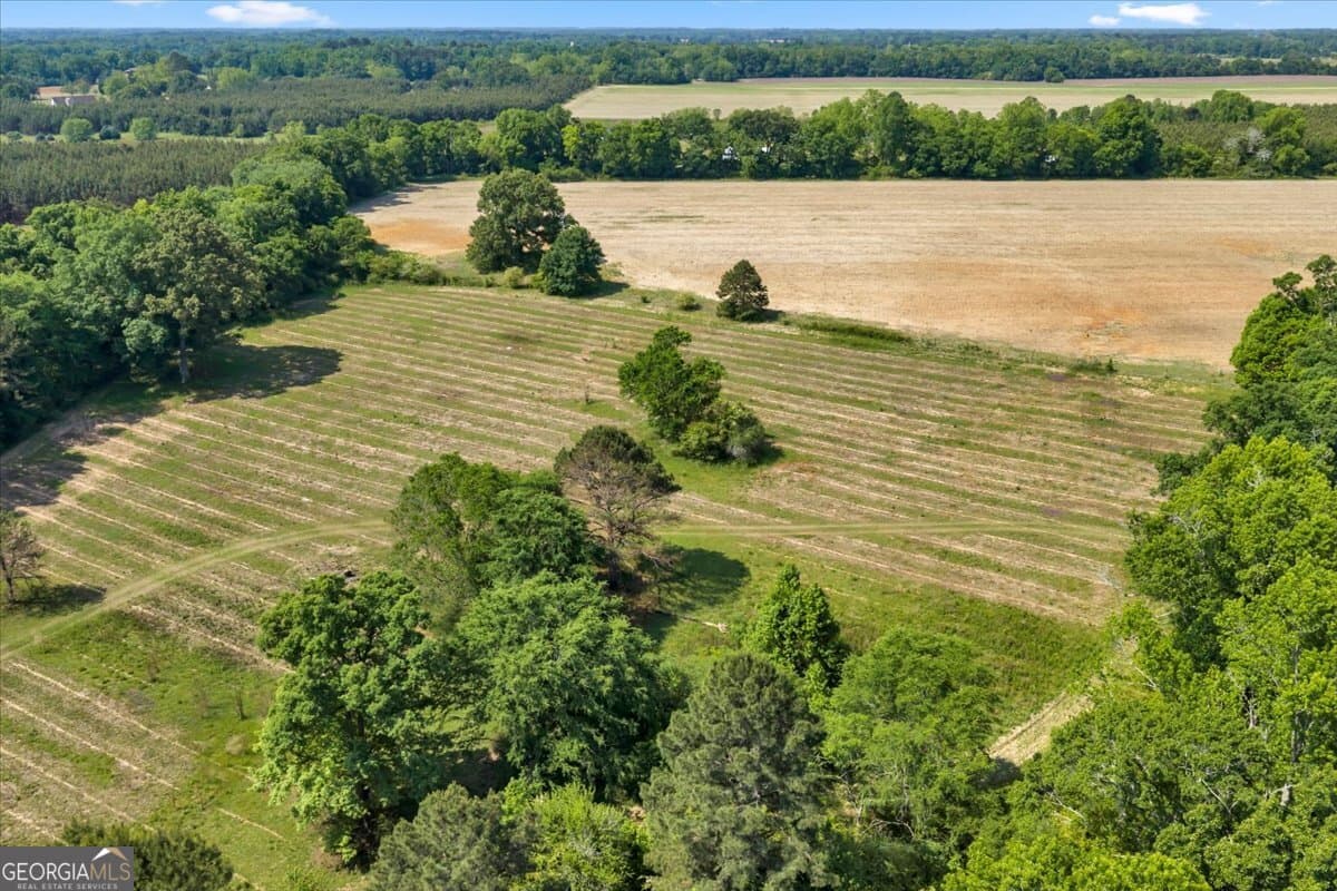 agriculture for sale at 0 Highway 80, Danville, GA 31017 — photo 3