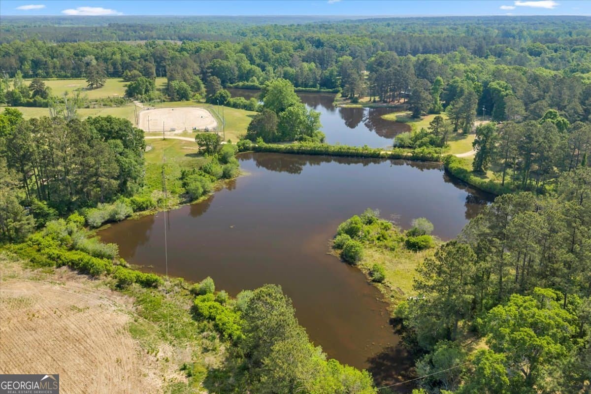 agriculture for sale at 0 Highway 80, Danville, GA 31017