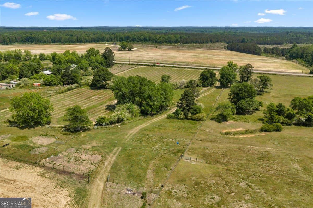 agriculture for sale at 0 Highway 80, Danville, GA 31017 — photo 9