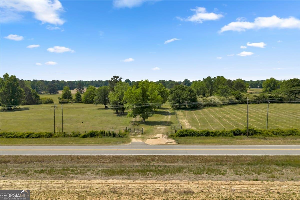 agriculture for sale at 0 Highway 80, Danville, GA 31017 — photo 10