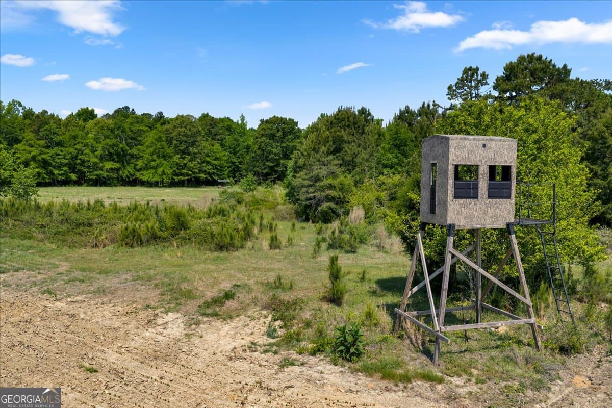 agriculture for sale at 0 Highway 80, Danville, GA 31017 — photo 4
