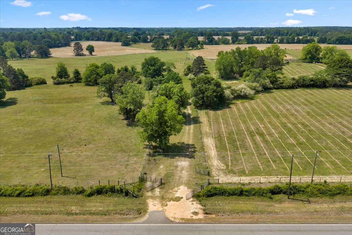 agriculture for sale at 0 Highway 80, Danville, GA 31017 — photo 8