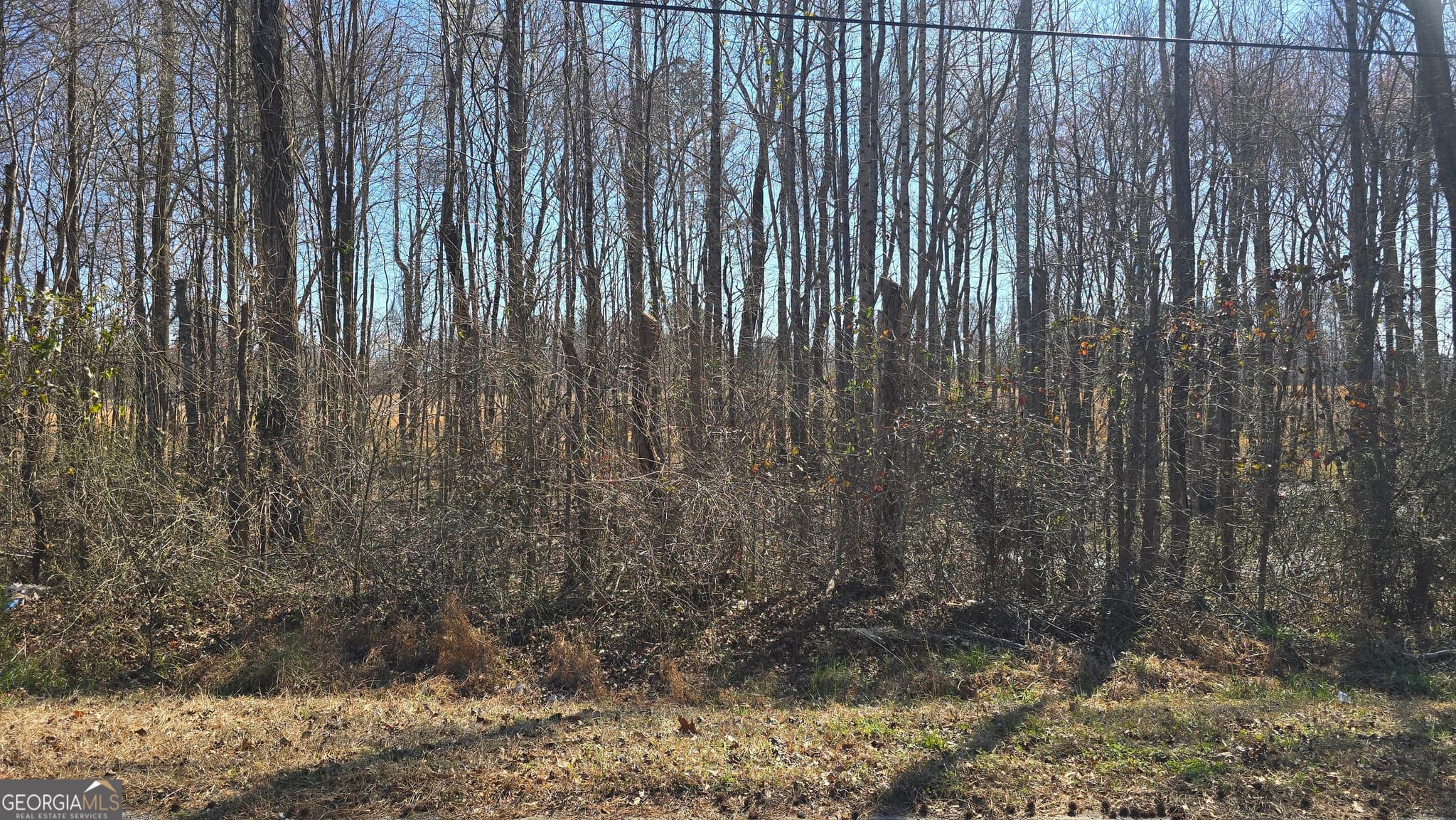 residential lot for sale at 1110 Spring Creek Circle, Griffin, GA 30223 — photo 2