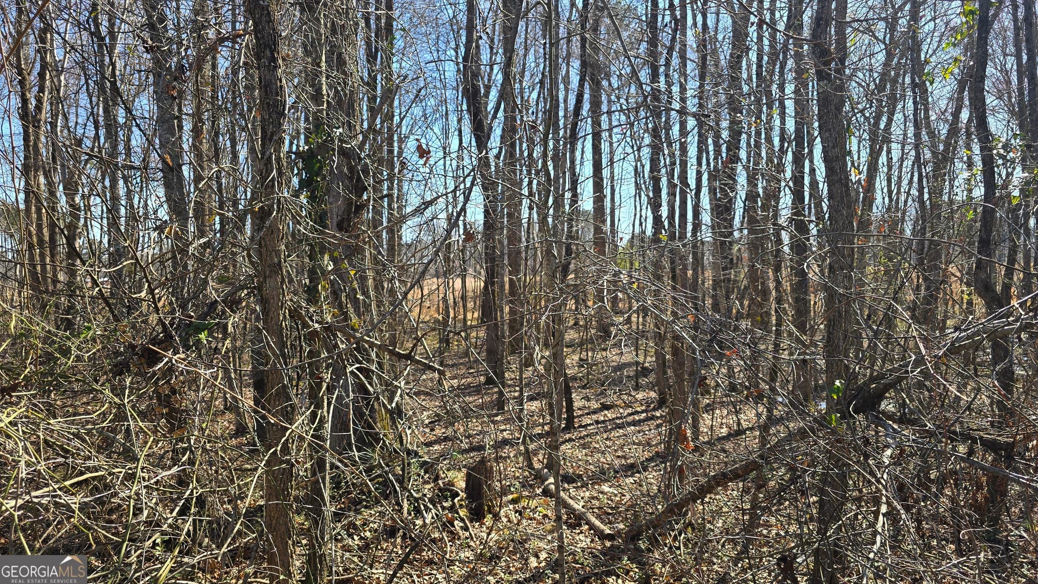 residential lot for sale at 1110 Spring Creek Circle, Griffin, GA 30223 — photo 6