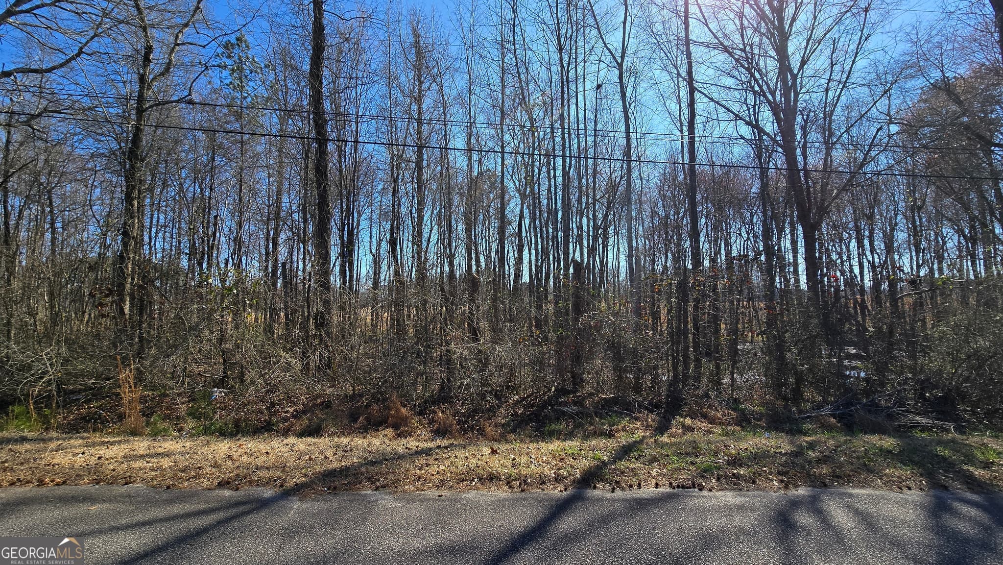 residential lot for sale at 1110 Spring Creek Circle, Griffin, GA 30223 — photo 5