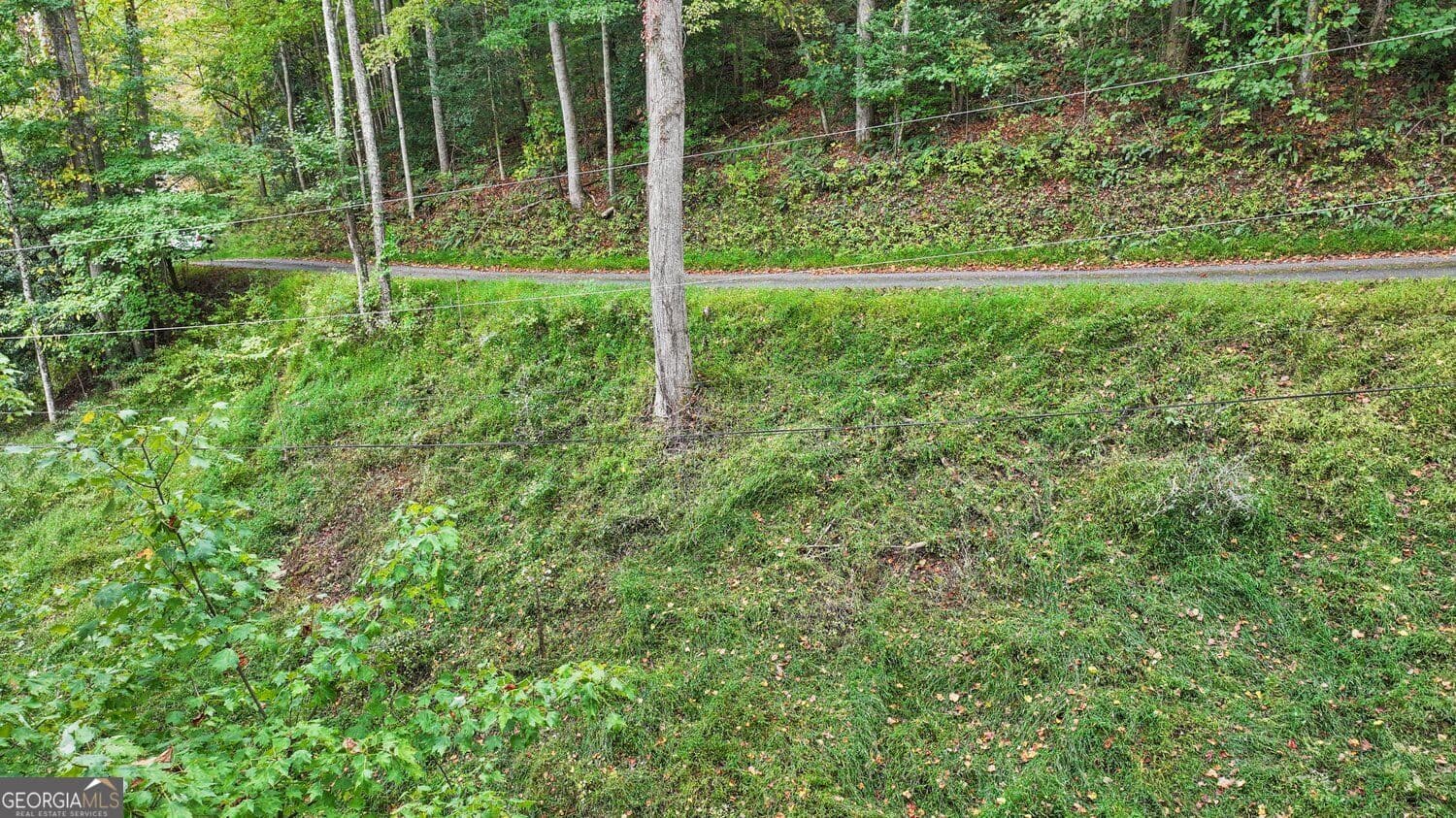 residential lot for sale at 0 Twin Mtn Road 24, Hiawassee, GA 30546 — photo 9