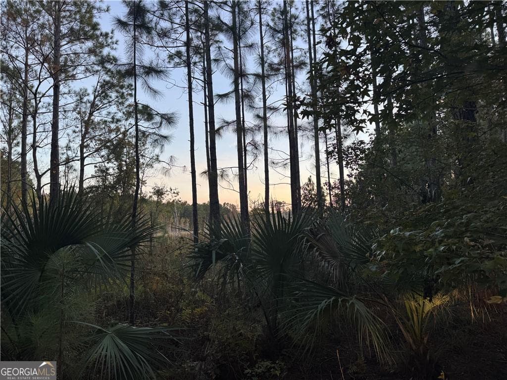 residential lot for sale at LOT 357 Wood Stork Way, Waverly, GA 31565 — photo 5