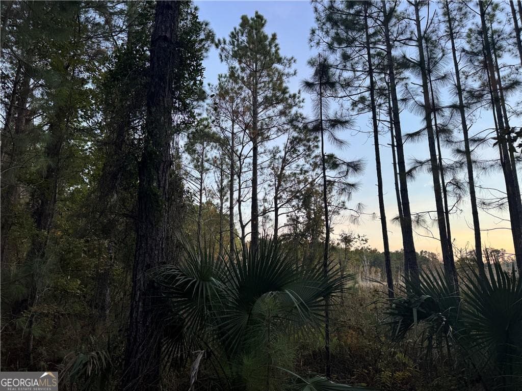 residential lot for sale at LOT 357 Wood Stork Way, Waverly, GA 31565 — photo 4