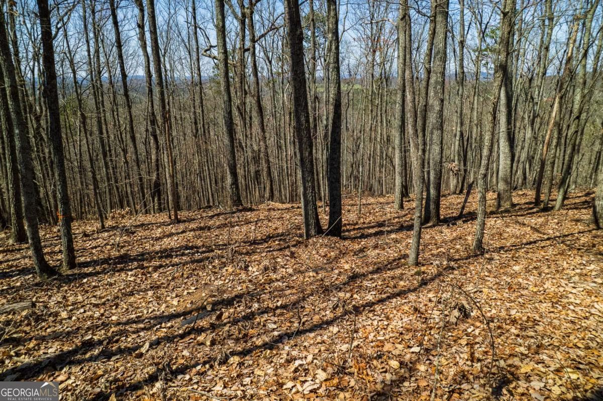 unimproved land for sale at LOT 35 Heatherwood Way, Talking Rock, GA 30175 — photo 2
