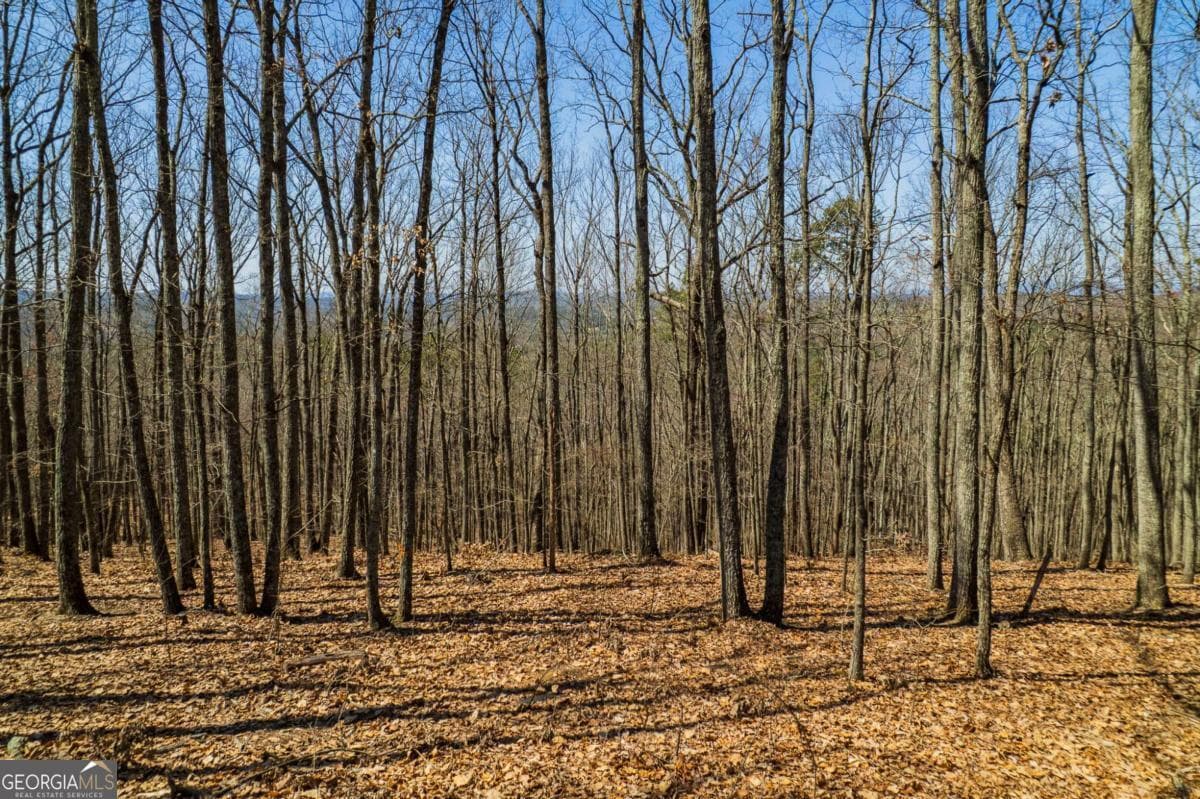 unimproved land for sale at LOT 35 Heatherwood Way, Talking Rock, GA 30175 — photo 1 of 20