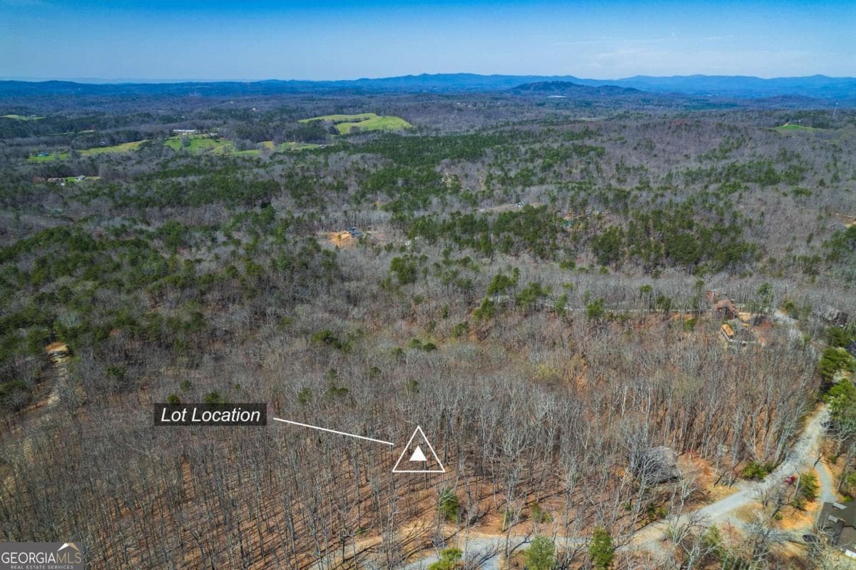 unimproved land for sale at LOT 35 Heatherwood Way, Talking Rock, GA 30175 — photo 5