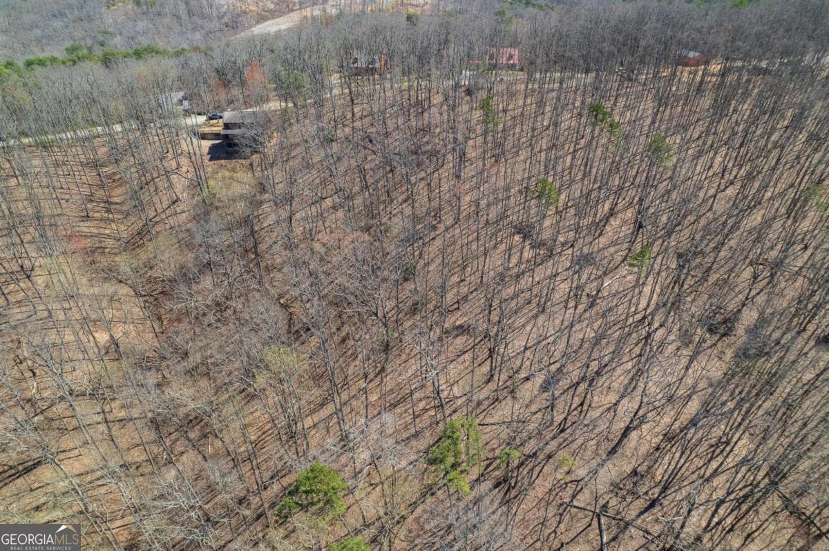 unimproved land for sale at LOT 35 Heatherwood Way, Talking Rock, GA 30175 — photo 10