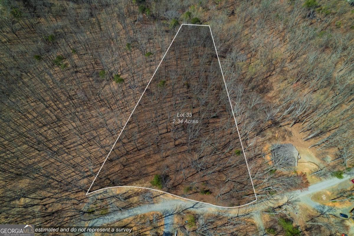 unimproved land for sale at LOT 35 Heatherwood Way, Talking Rock, GA 30175 — photo 4