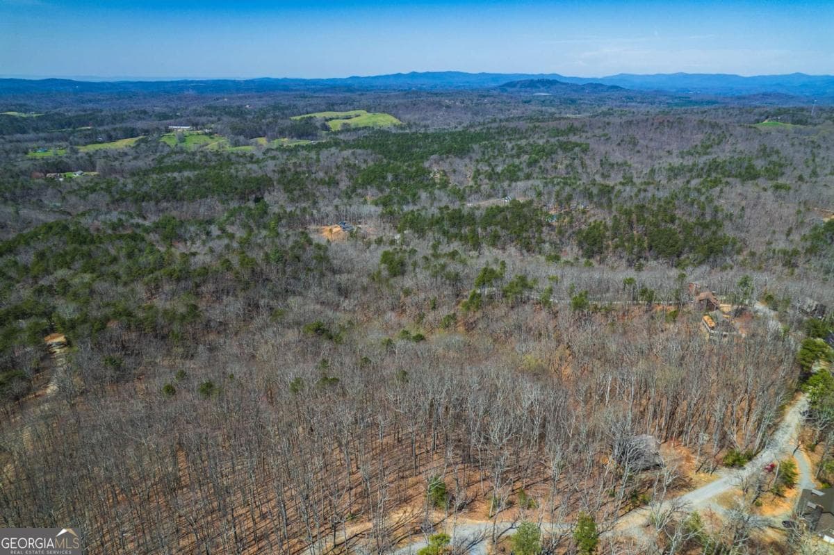 unimproved land for sale at LOT 35 Heatherwood Way, Talking Rock, GA 30175 — photo 8