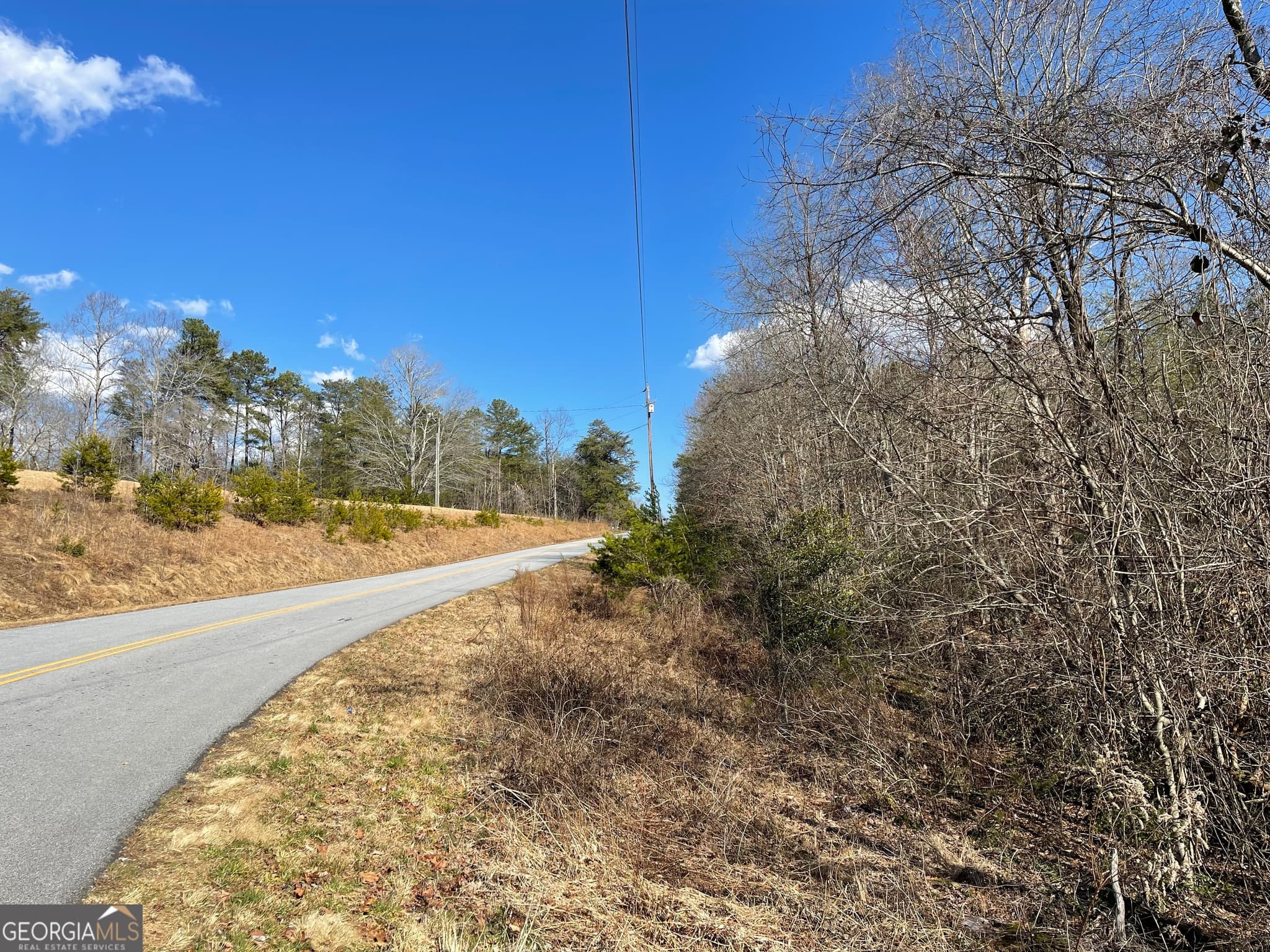 agriculture for sale at 0 Ben Jones Road, Clarkesville, GA 30523 — photo 6