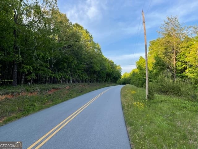 agriculture for sale at 0 Ben Jones Road, Clarkesville, GA 30523 — photo 3